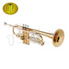 TROMPETTE SIB MTP T-810 ALLEGRO II Vernie