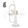 BUGLE Sib EASTMAN EFG521GS