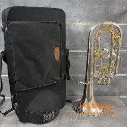 BARYTON Sib WISEMANN DBH700SG