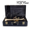 Bugle Sib C.G. Conn 1FR Vintage One Laiton Cuivre Rose | NG Musique