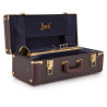 Trompette BACH C180SL239-25A