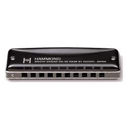Harmonica diatonique Suzuki HA20 Promaster Hammond noir