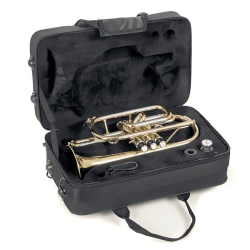 CORNET Sib ROY BENSON VERNI CR202