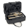 CORNET Sib ROY BENSON VERNI CR202