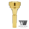 EMBOUCHURE CORNET Eb DENIS WICK DW4881S - AURIFIEE