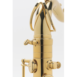 SAXOPHONE TENOR SELMER AXOS Verni