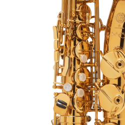 SAXOPHONE ALTO SELMER SUPREME DGG