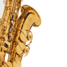 SAXOPHONE ALTO SELMER SUPREME DGG