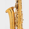 SAXOPHONE ALTO SELMER SUPREME DGG