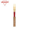 ANCHES HAUTBOIS JONES COUPE EUROPEENE MEDIUM
