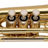 TROMPETTE DE POCHE LEVANTE LV-TR4415 Vernie
