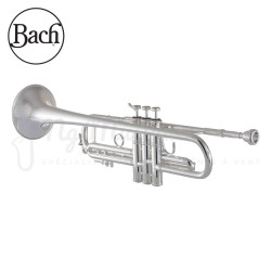 TROMPETTE Sib BACH 180S-37R Argentée
