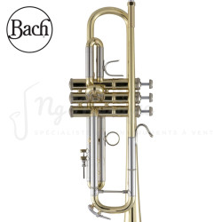 TROMPETTE Sib BACH 180-37R Vernie