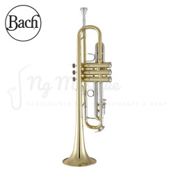 TROMPETTE Sib BACH 180-37R Vernie