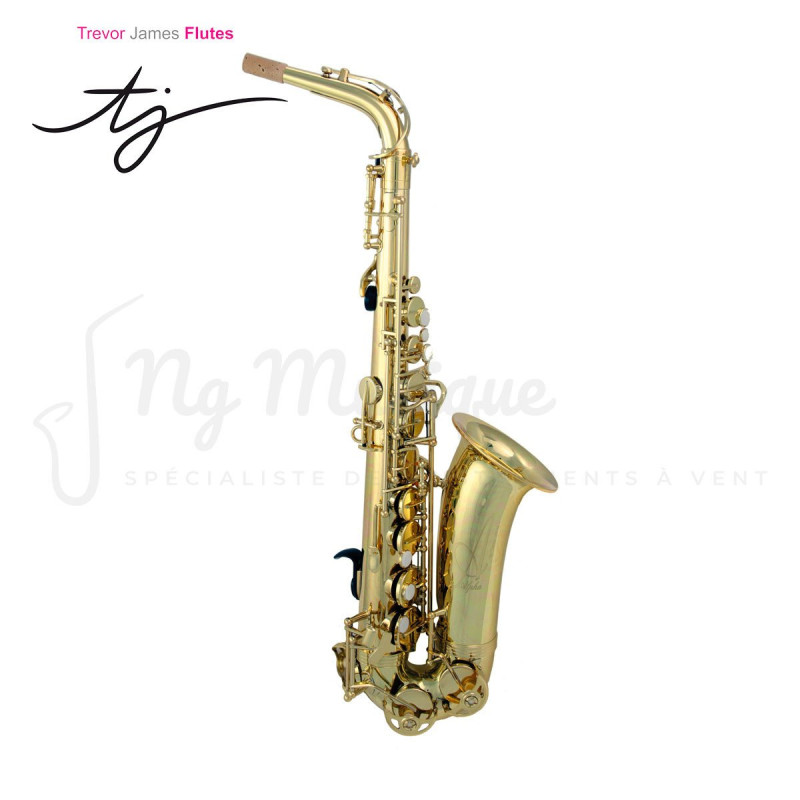 SAXOPHONE ALTO TREVOR JAMES 371A ALFASAX