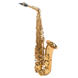 Instruments à Vent (Bois) : Saxophone, Clarinette, Flûte | NG Musique
