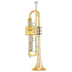 Instruments à Vent (Cuivres) : Trompette, Trombone, Cor | NG Musique