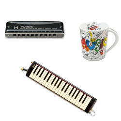 Harmonicas Suzuki, Mélodicas & Idées Cadeaux Musique | NG Musique