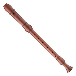 Flûtes à Bec : Soprano, Alto, Ténor, Bois & Résine | NG Musique